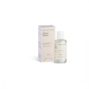 Masaje After Shave Metilina Valet Loción 100Ml 1