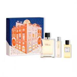 Hermes Terre Edt Lote 100 Vaporizador 1