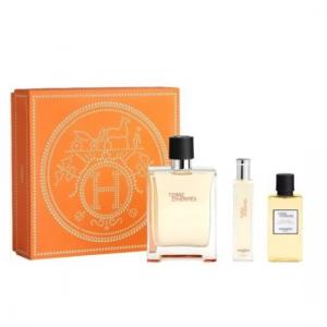 Hermes Terre Edt Lote 100 Vaporizador 1
